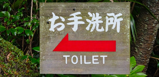 Toilette japonaise Maroc FLB